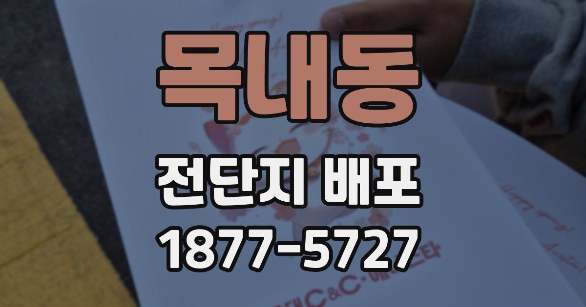 목내동 전단지 배포