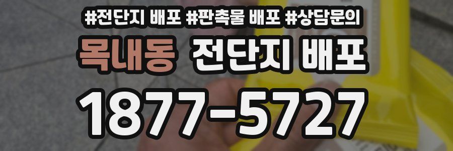 목내동 전단지 배포