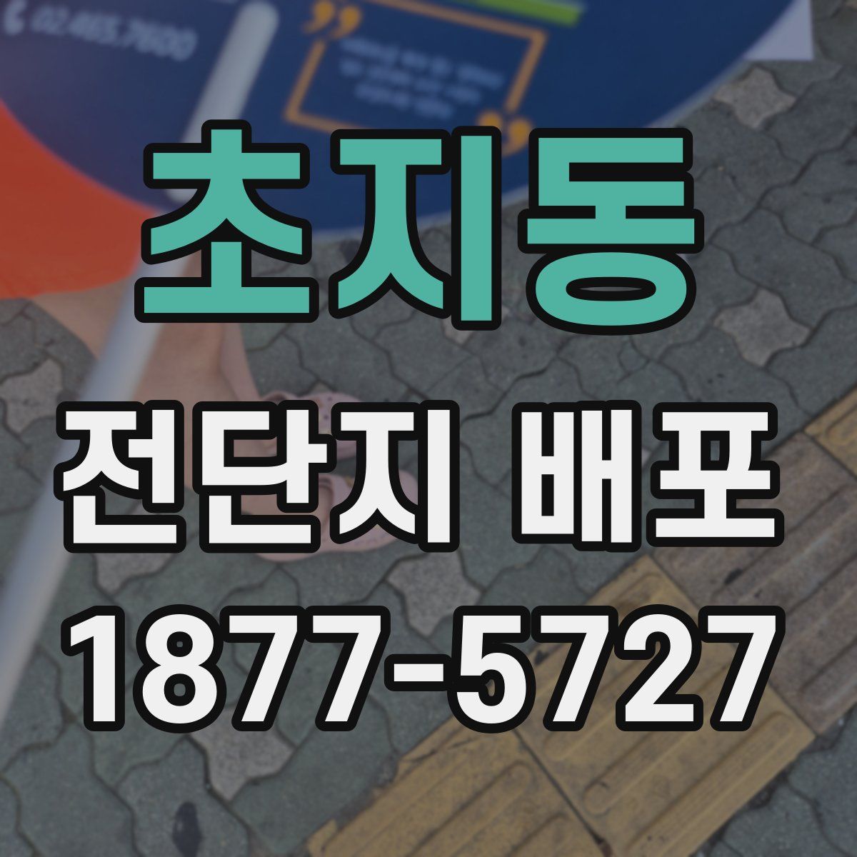 초지동 전단지 배포