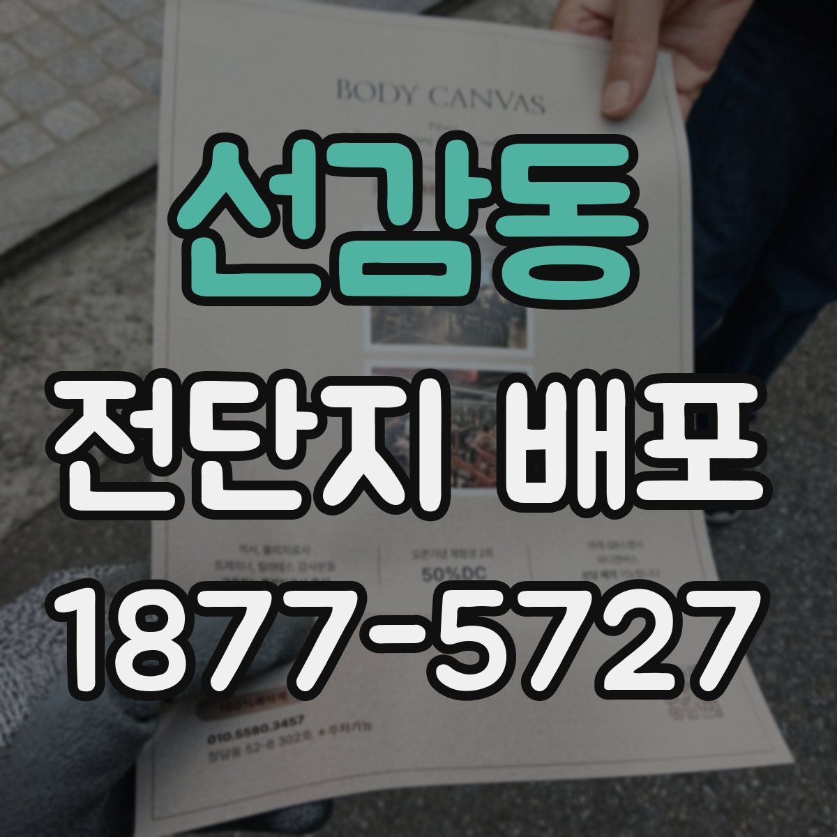 선감동 전단지 배포