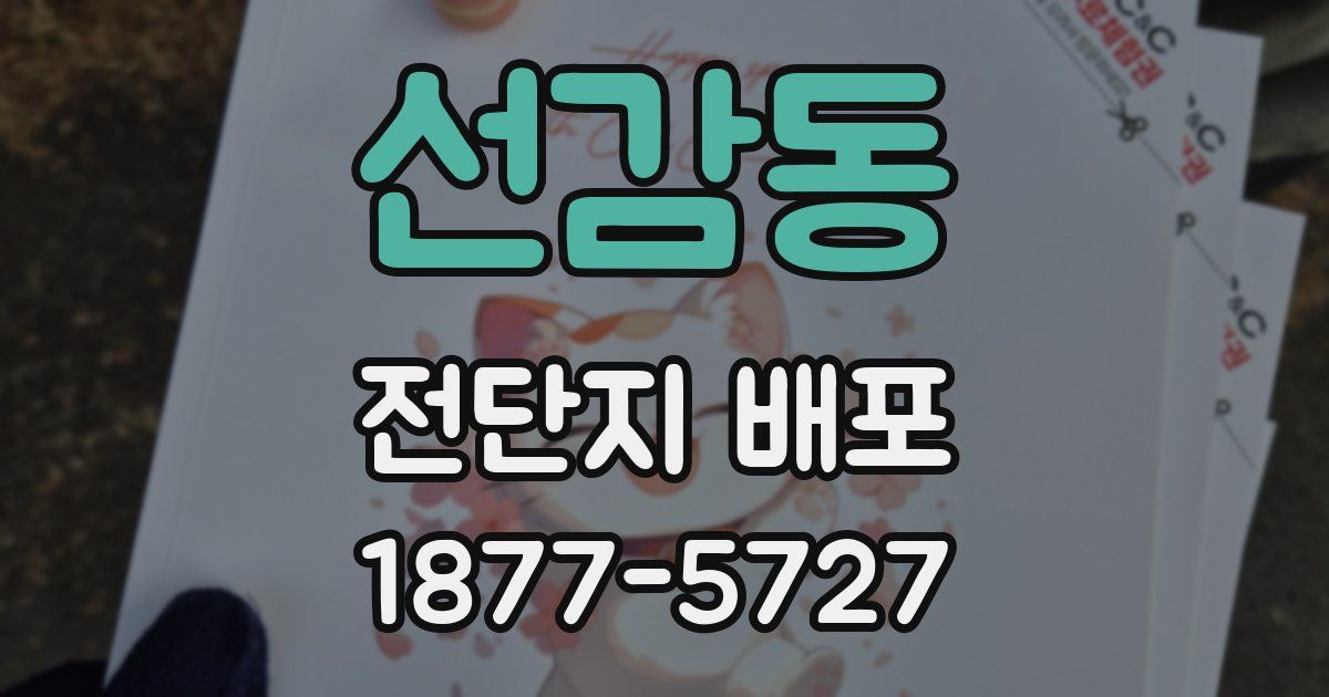선감동 전단지 배포