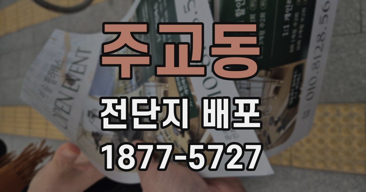 주교동 전단지 배포