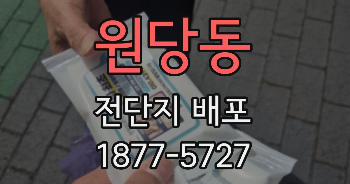 원당동 전단지 배포