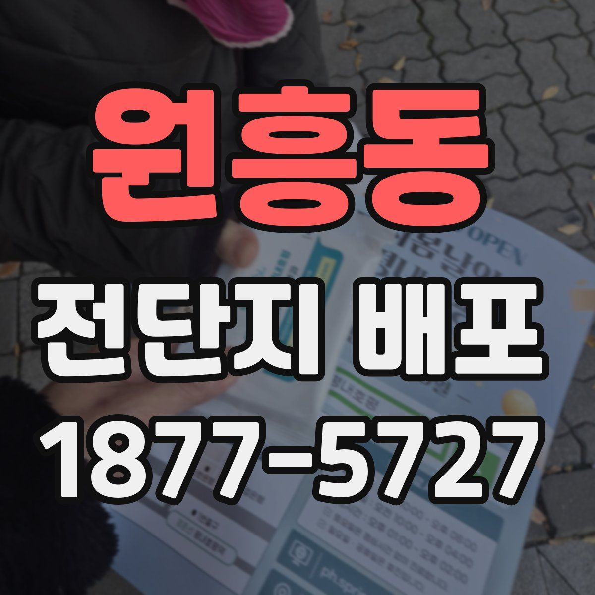 원흥동 전단지 배포