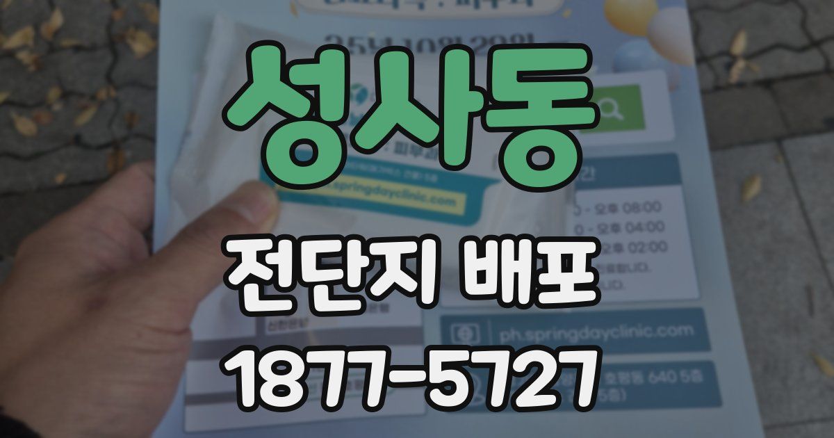 성사동 전단지 배포