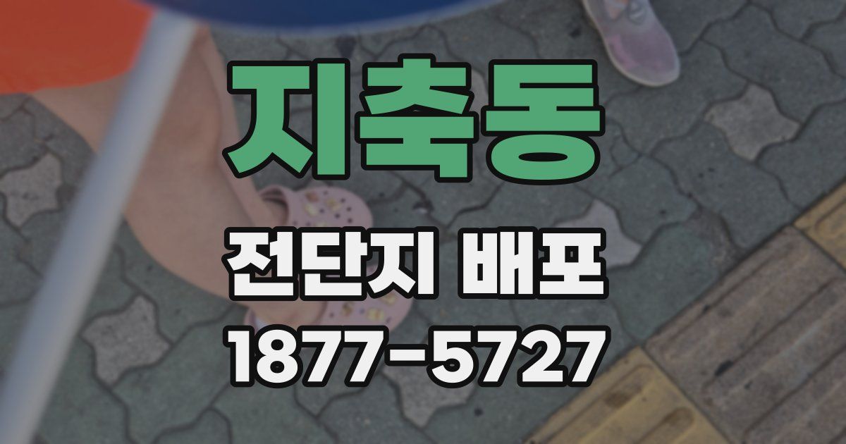 지축동 전단지 배포