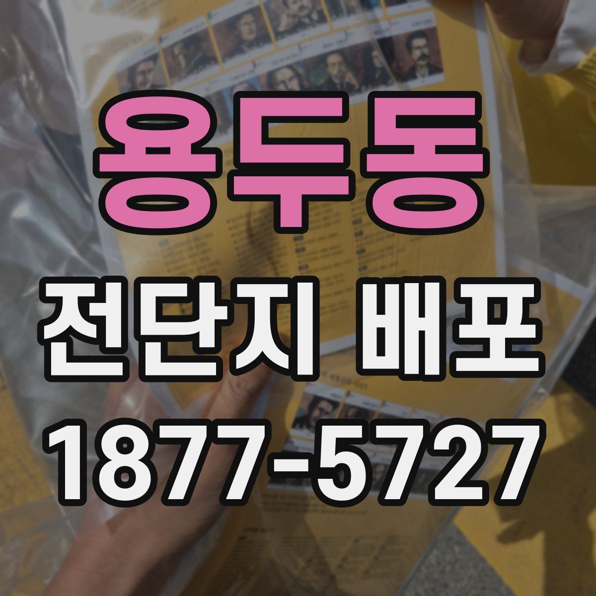 용두동 전단지 배포