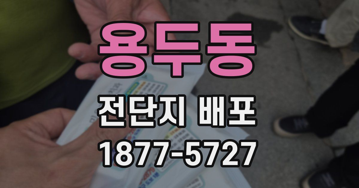 용두동 전단지 배포