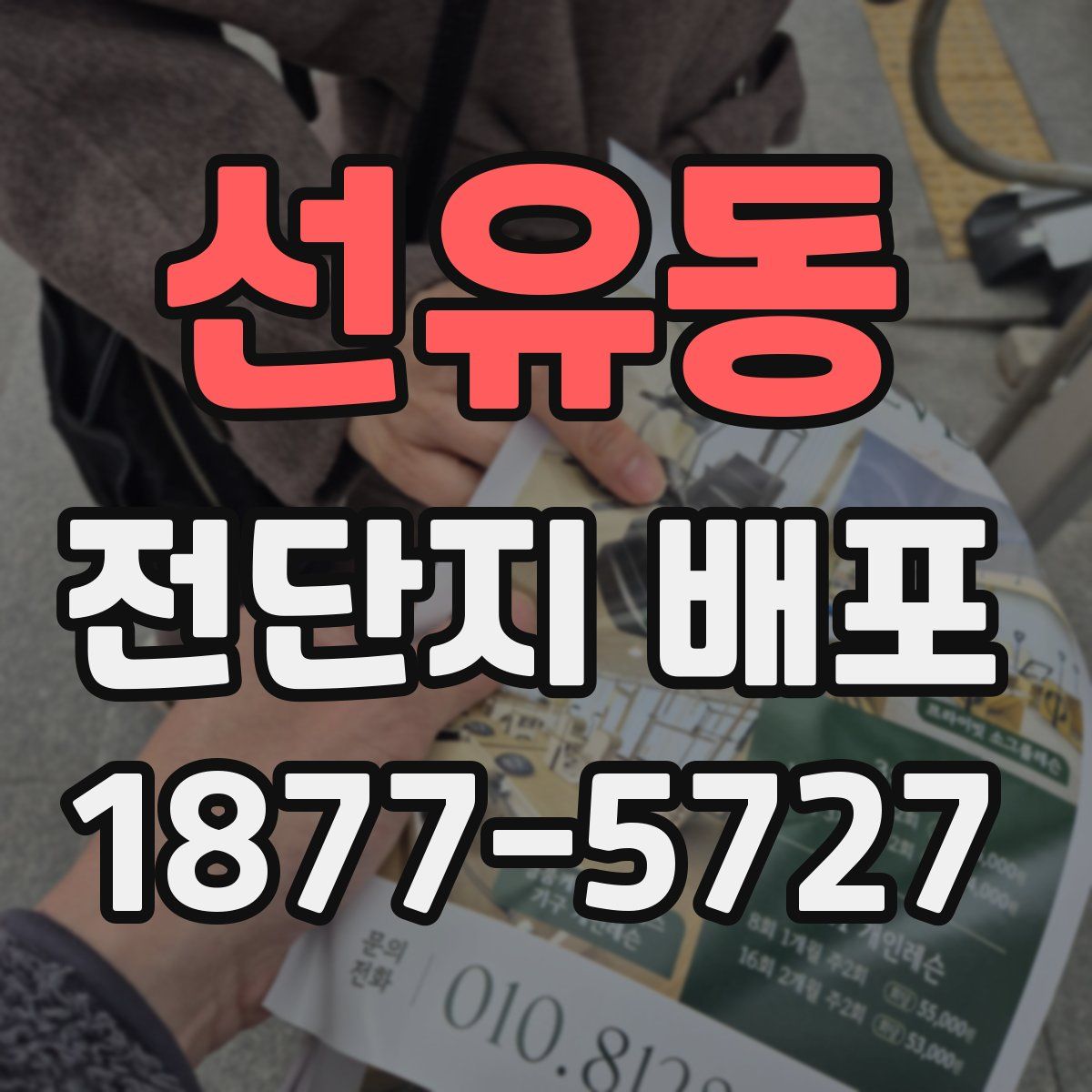 선유동 전단지 배포