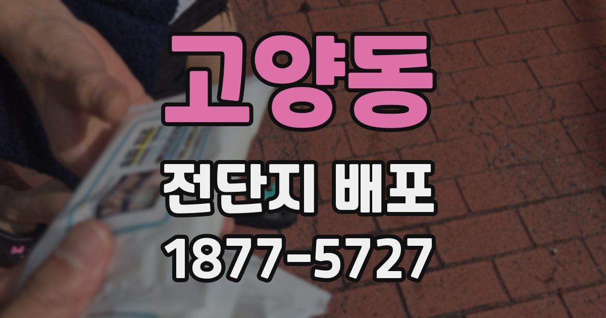 고양동 전단지 배포