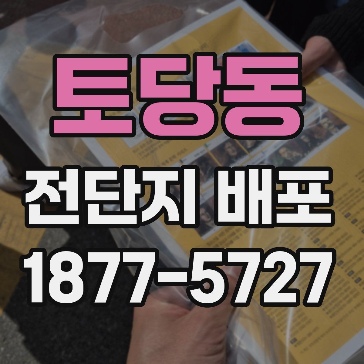 토당동 전단지 배포
