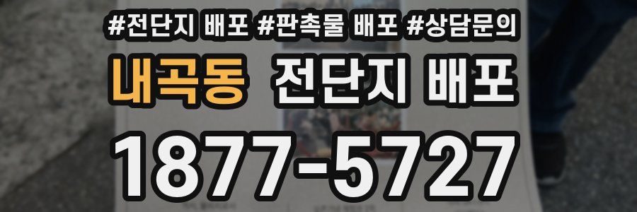 내곡동 전단지 배포