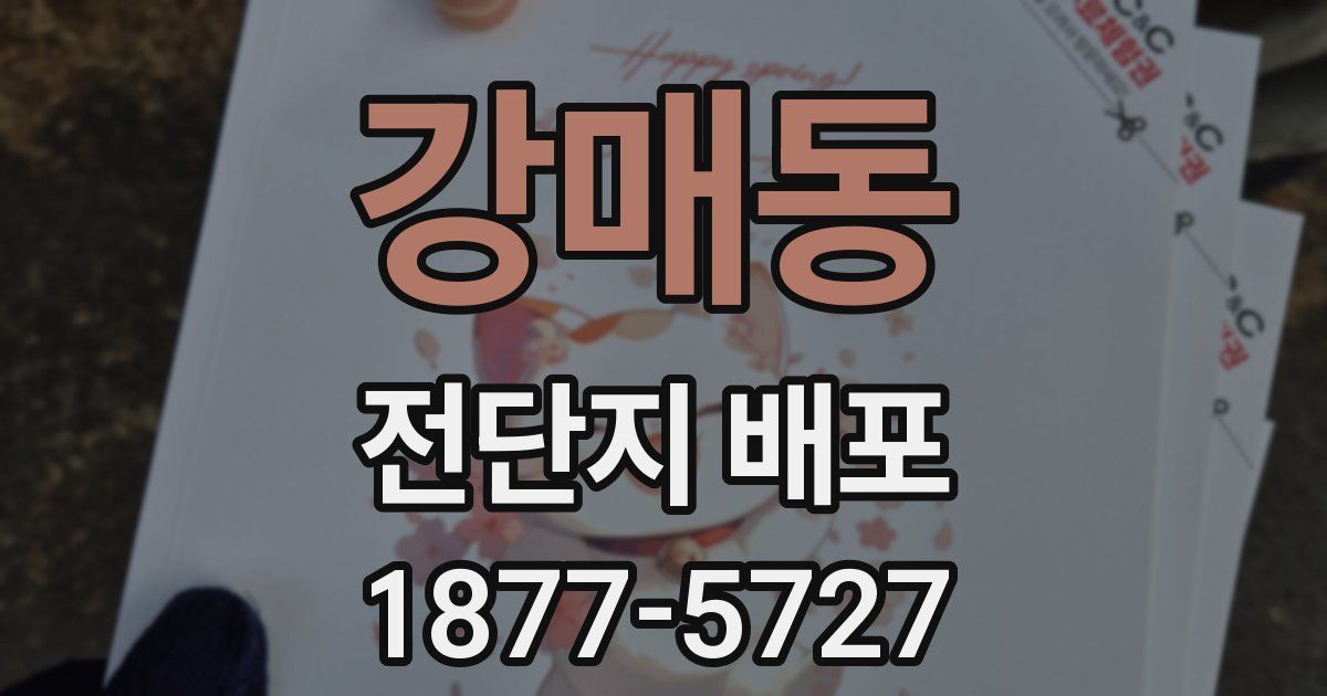 강매동 전단지 배포
