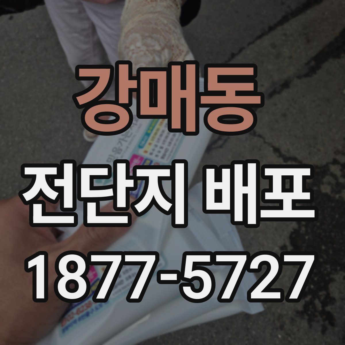 강매동 전단지 배포