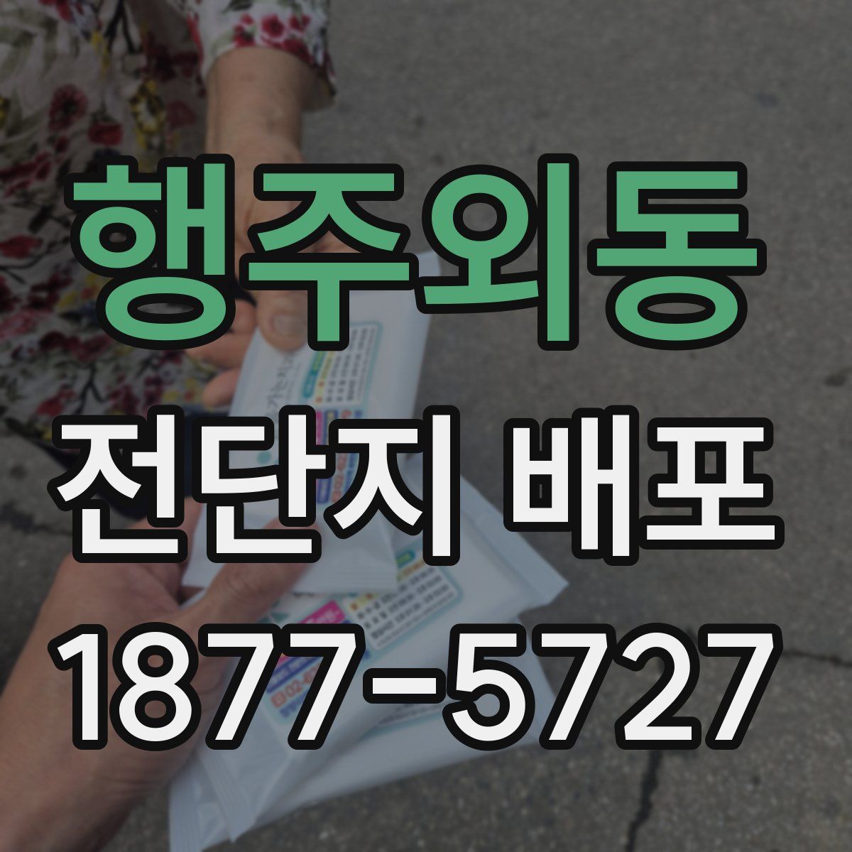 행주외동 전단지 배포