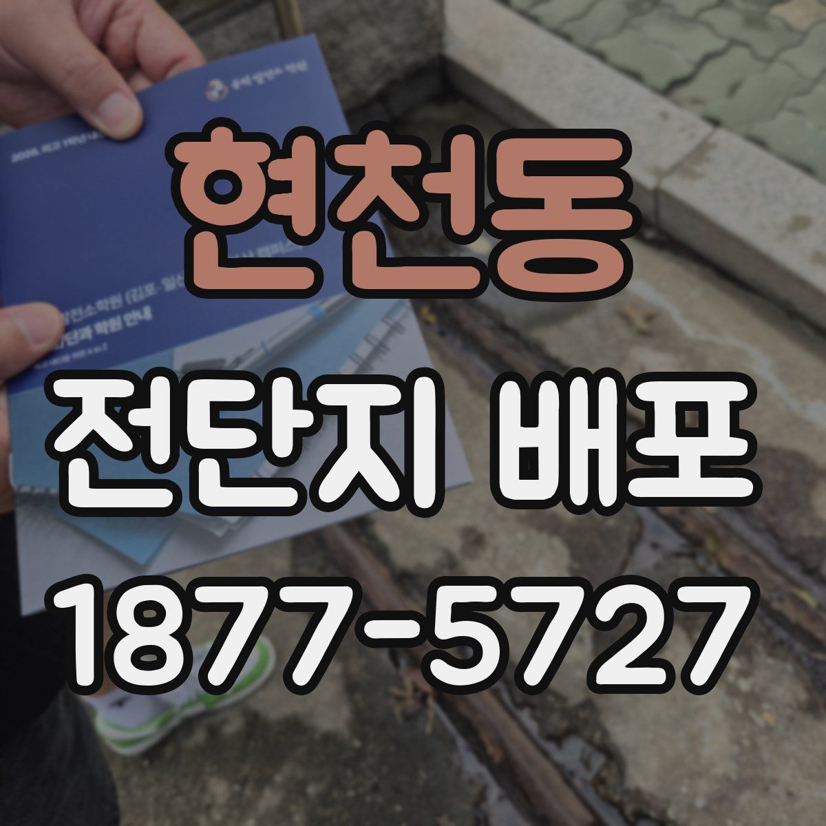 현천동 전단지 배포