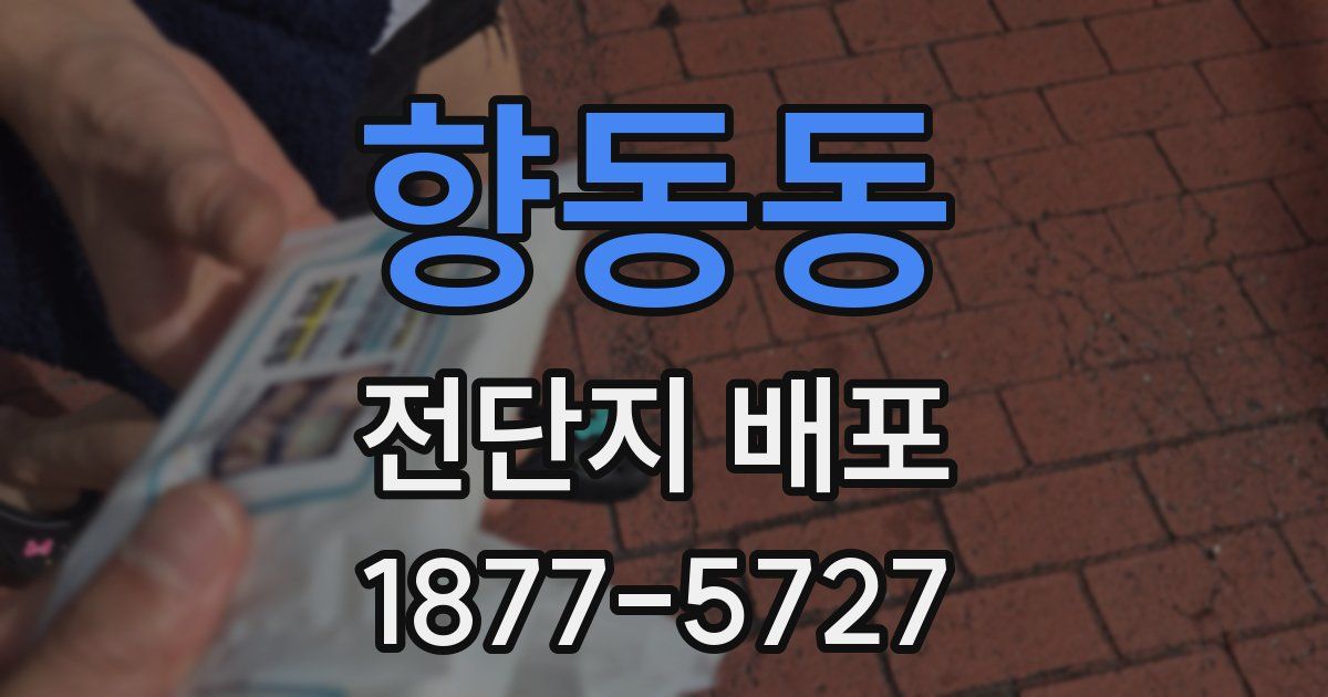 향동동 전단지 배포