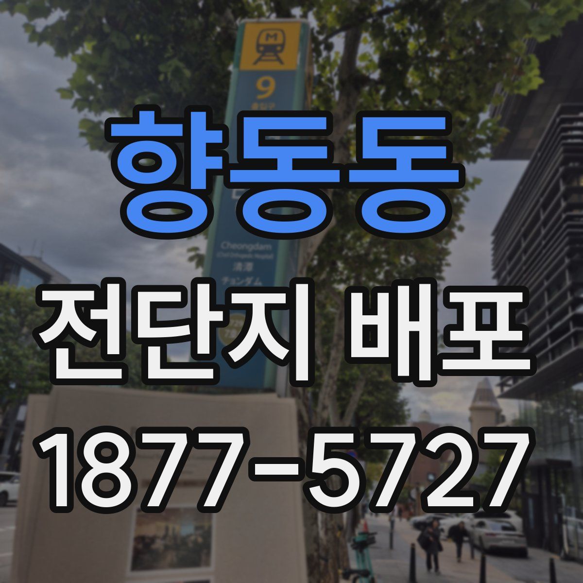 향동동 전단지 배포