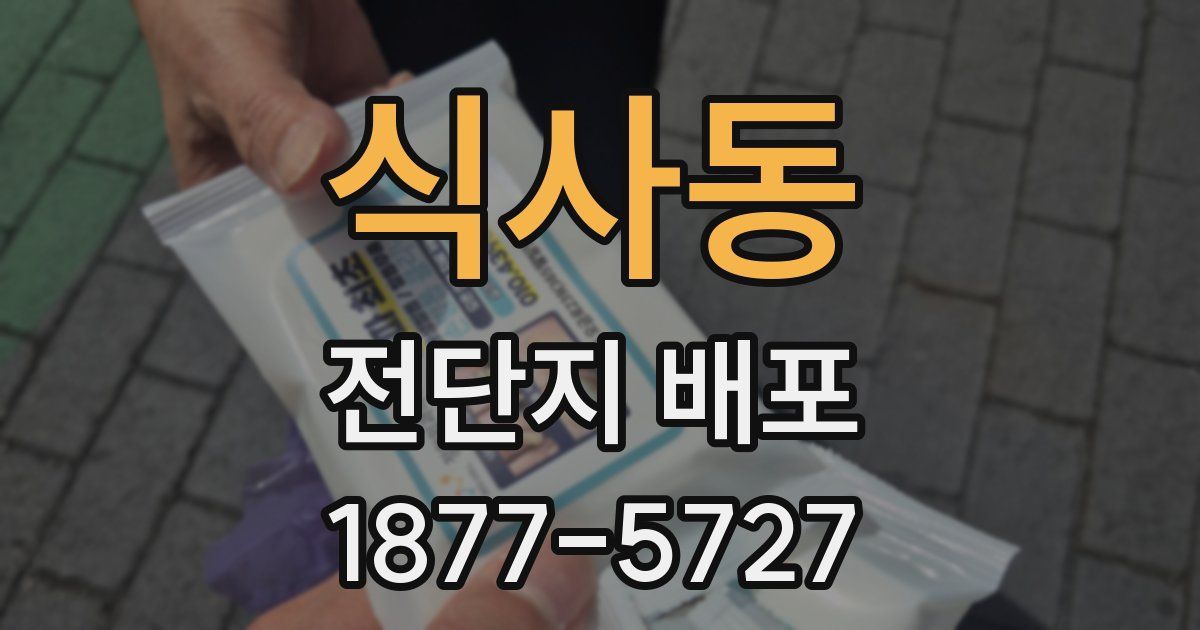 식사동 전단지 배포