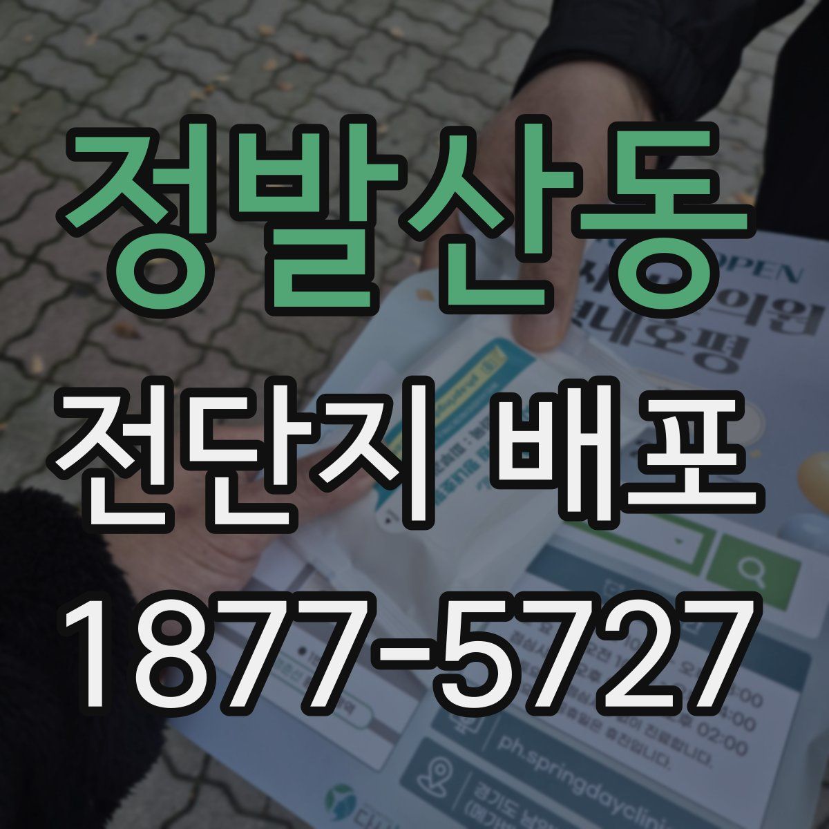 정발산동 전단지 배포