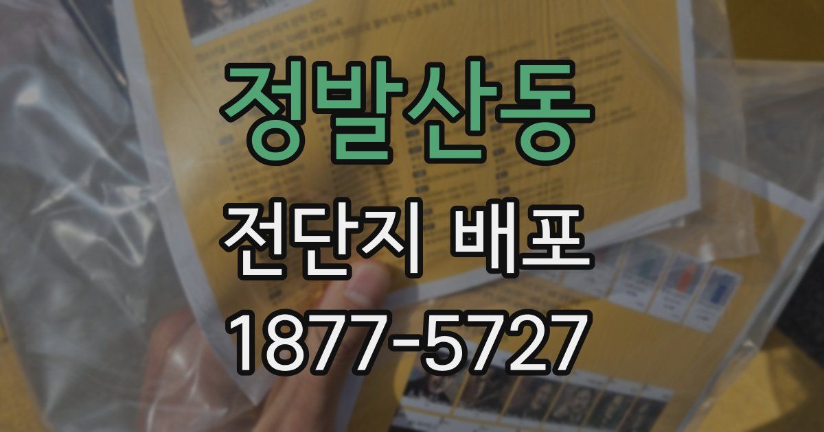 정발산동 전단지 배포