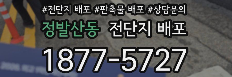 정발산동 전단지 배포