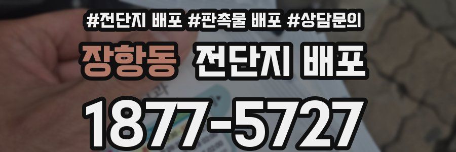 장항동 전단지 배포