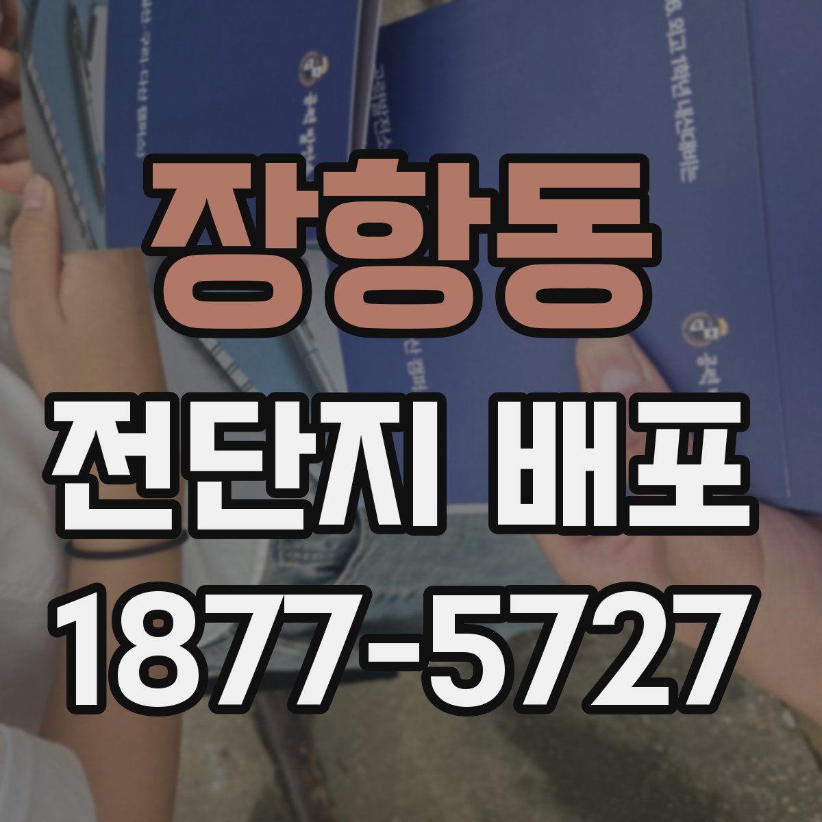 장항동 전단지 배포