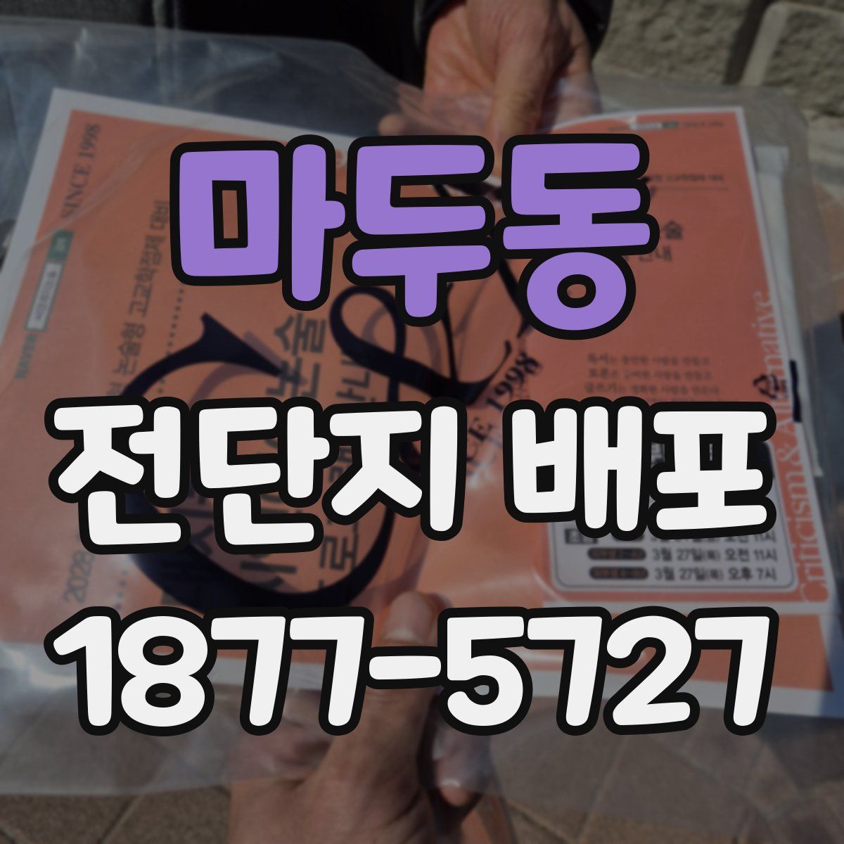 마두동 전단지 배포