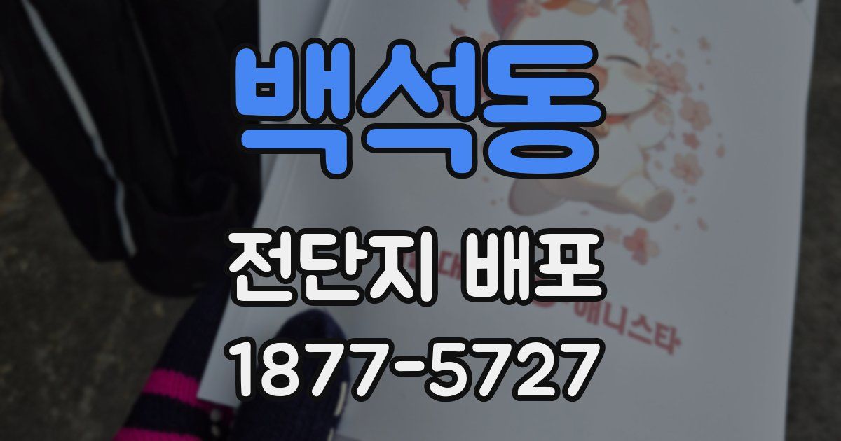 백석동 전단지 배포