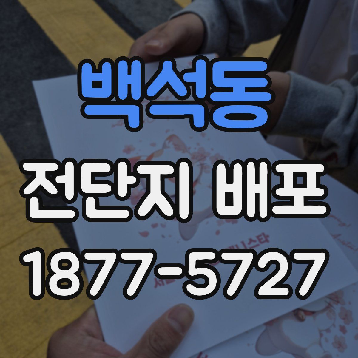백석동 전단지 배포