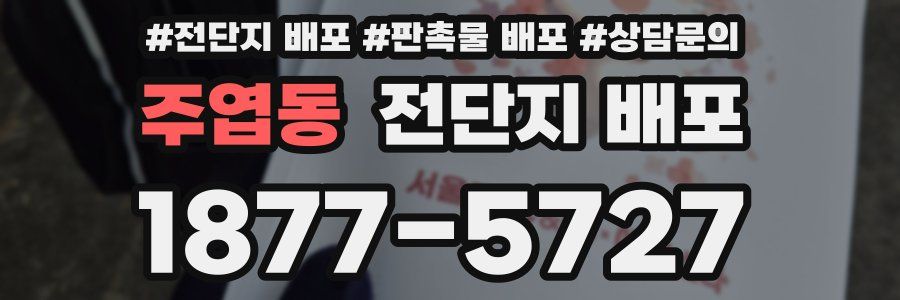 주엽동 전단지 배포