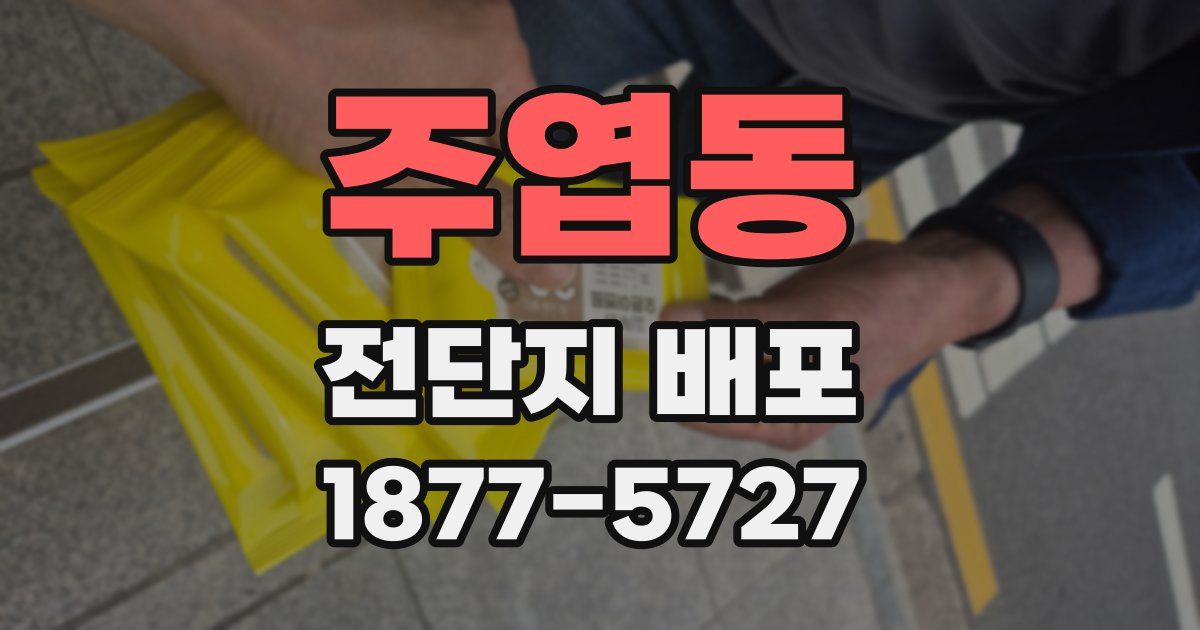 주엽동 전단지 배포