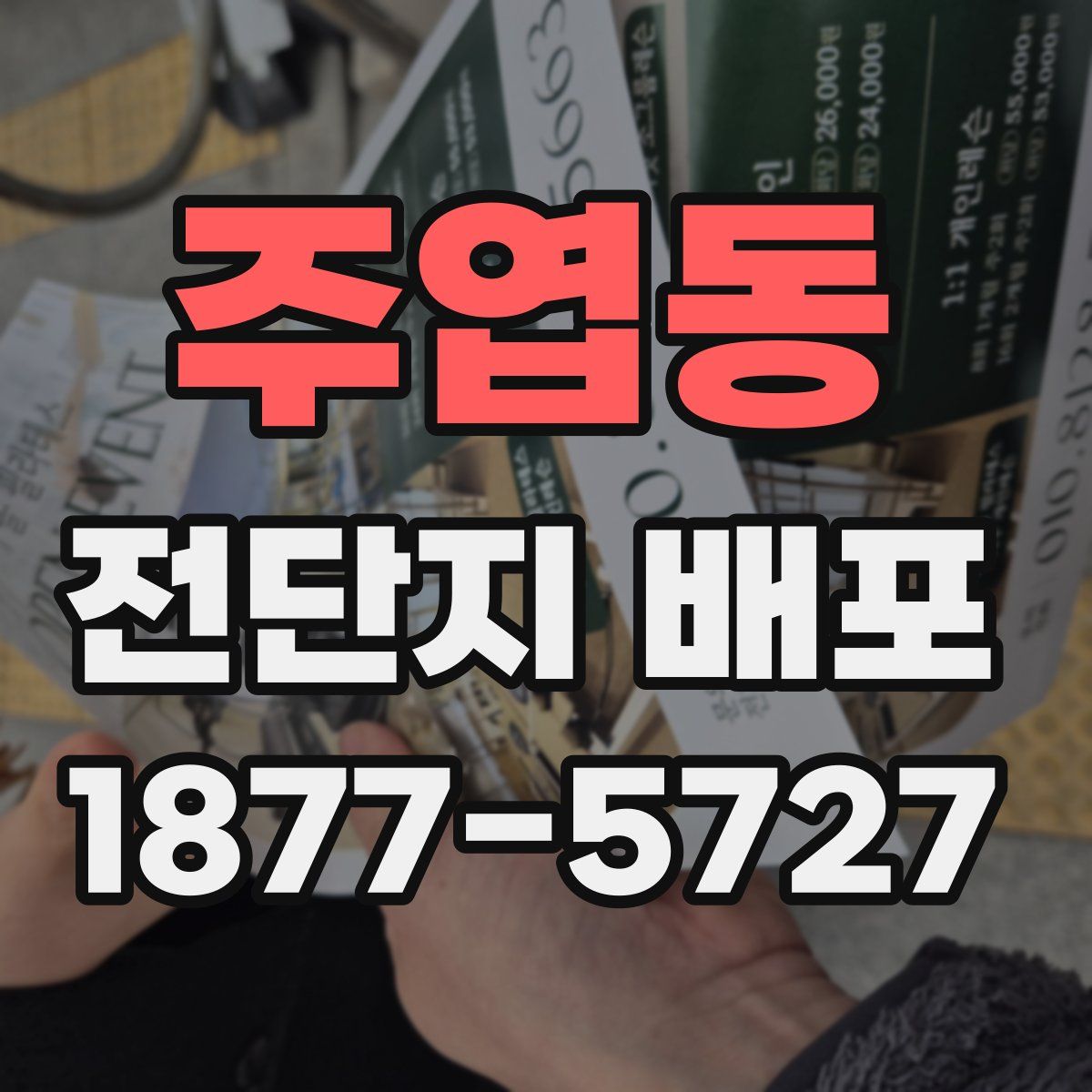 주엽동 전단지 배포