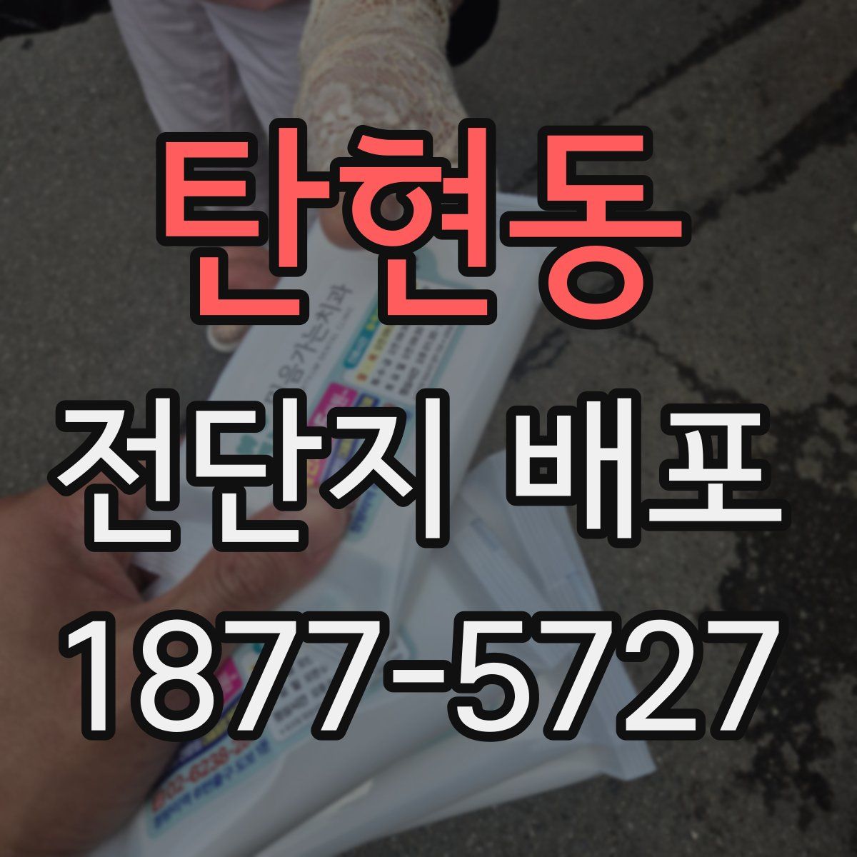 탄현동 전단지 배포