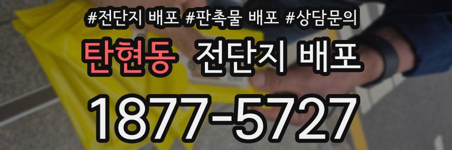 탄현동 전단지 배포