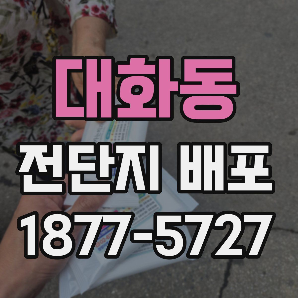 대화동 전단지 배포