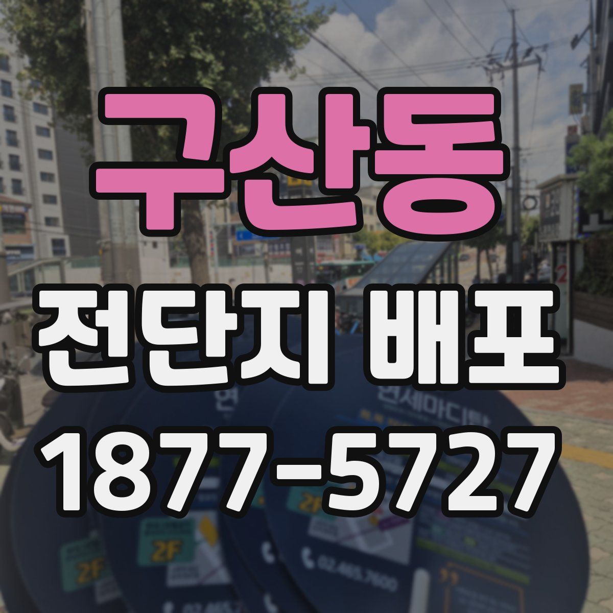 구산동 전단지 배포
