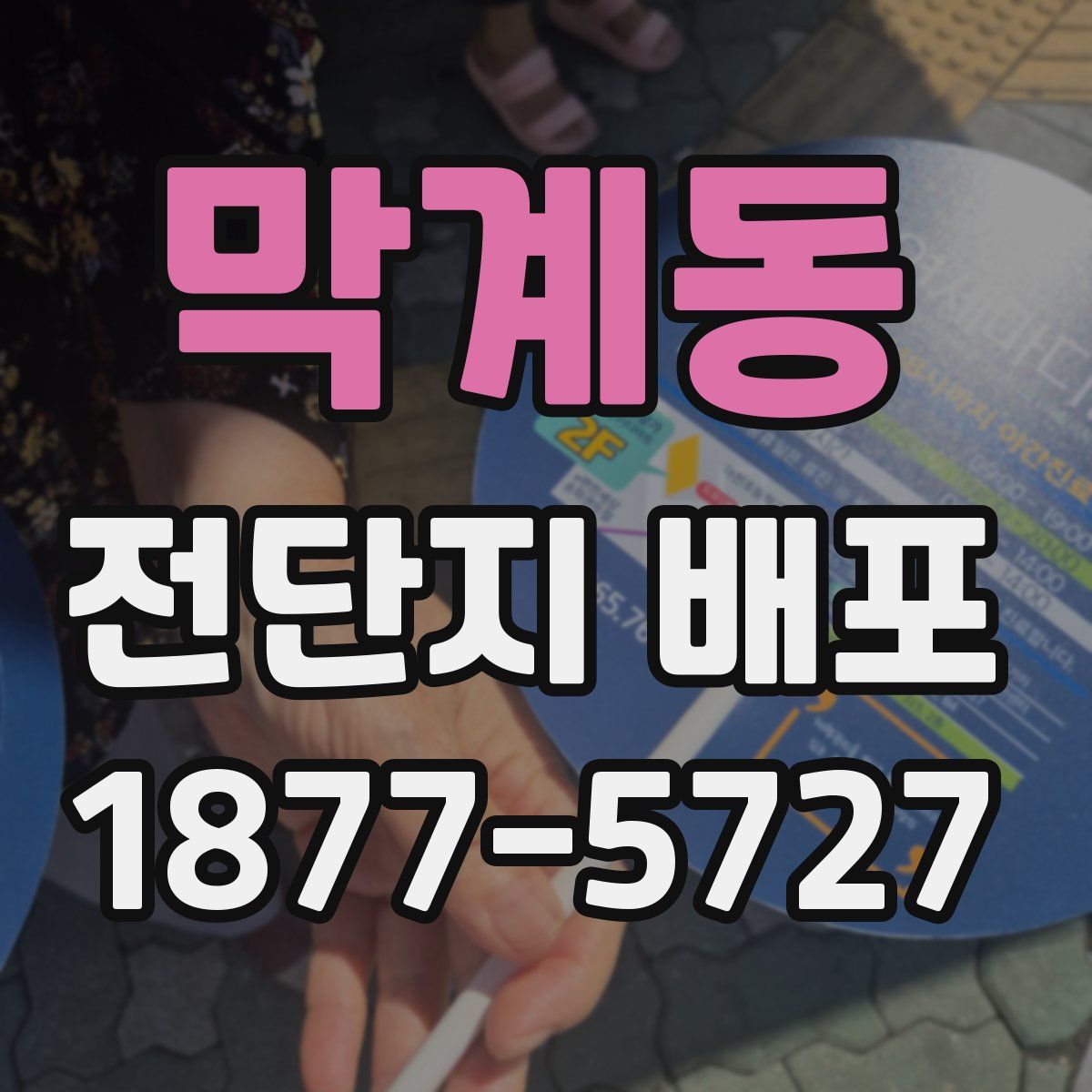 막계동 전단지 배포