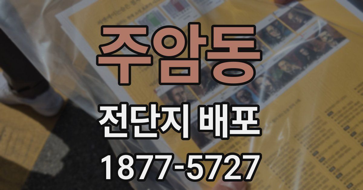 주암동 전단지 배포