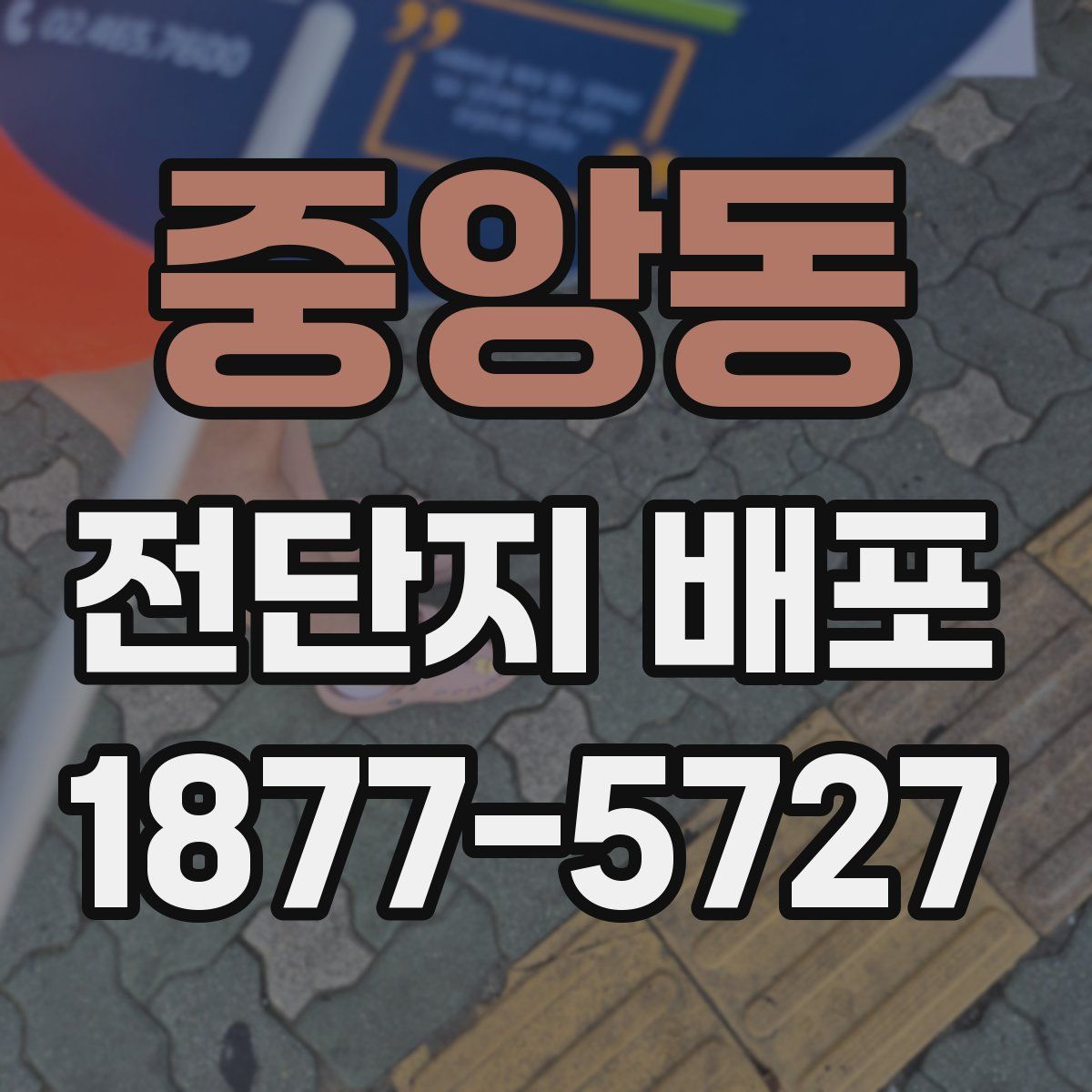 중앙동 전단지 배포