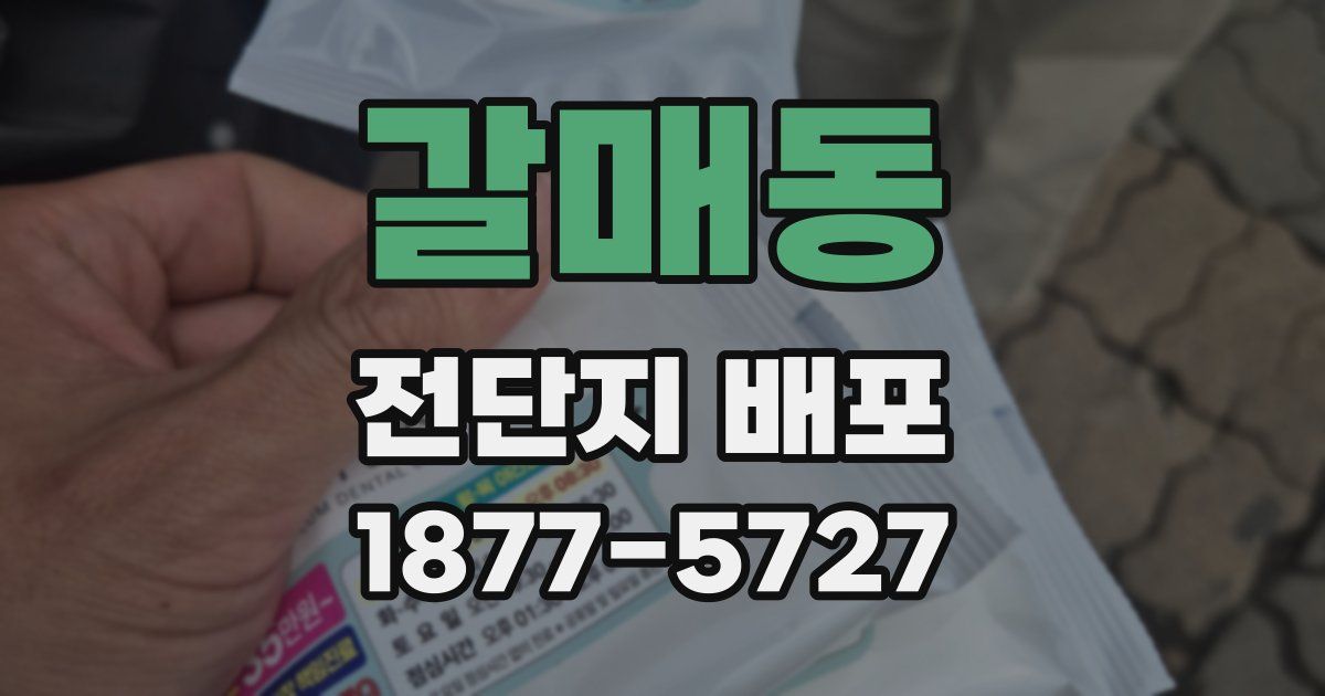 갈매동 전단지 배포