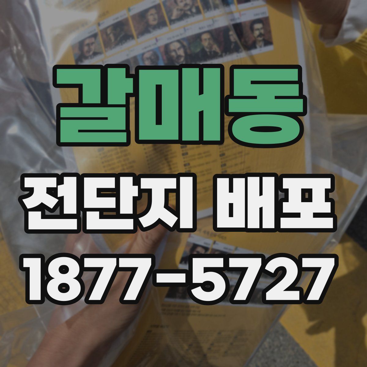갈매동 전단지 배포