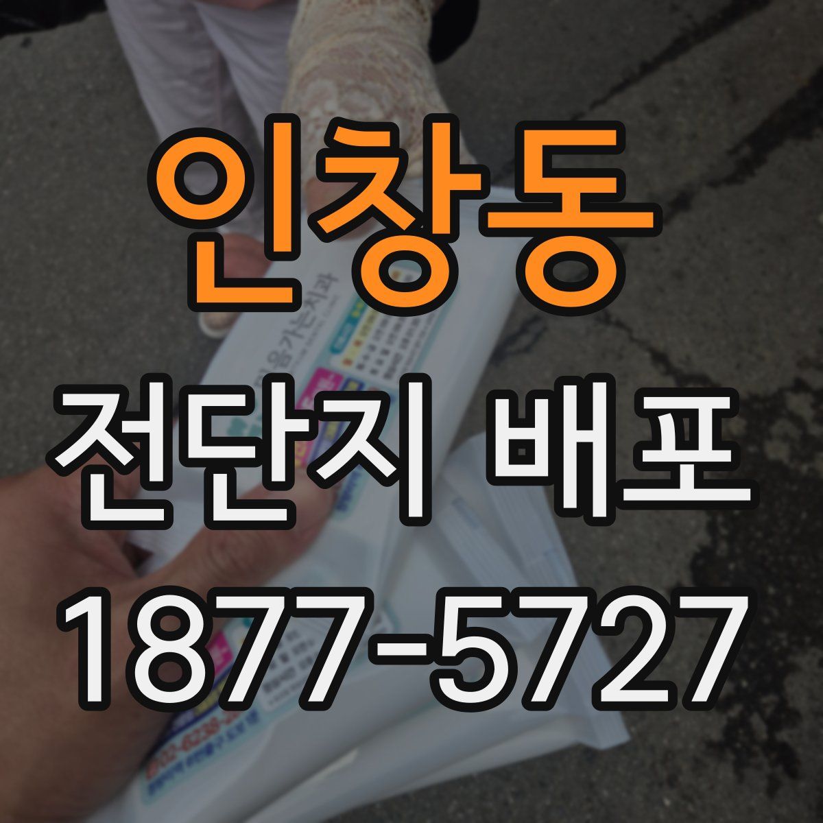 인창동 전단지 배포
