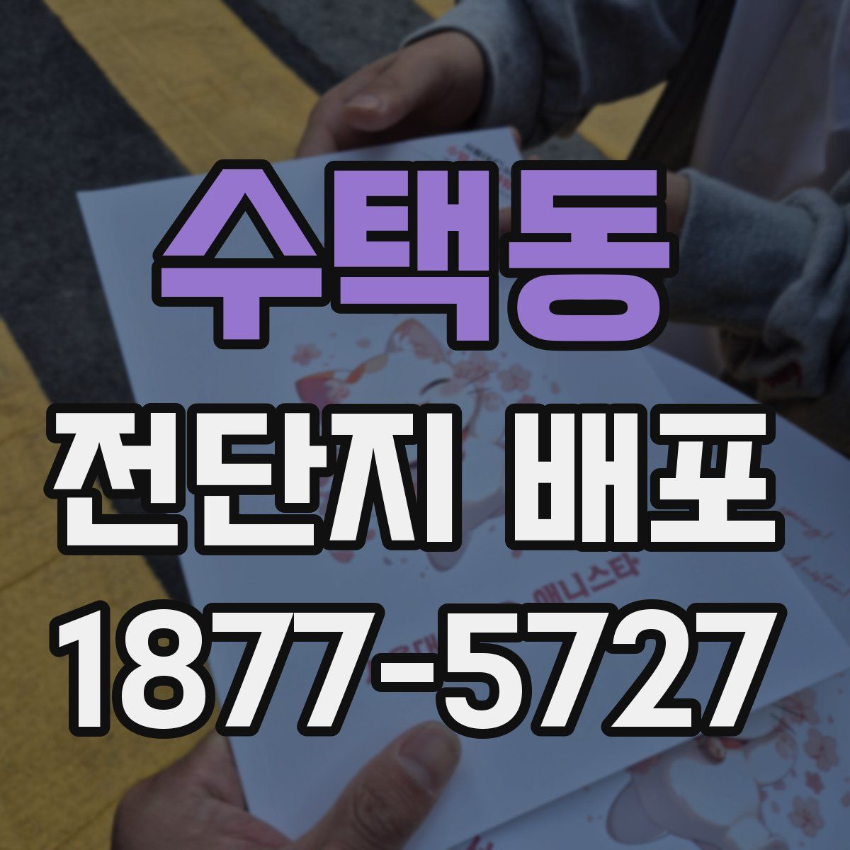 수택동 전단지 배포