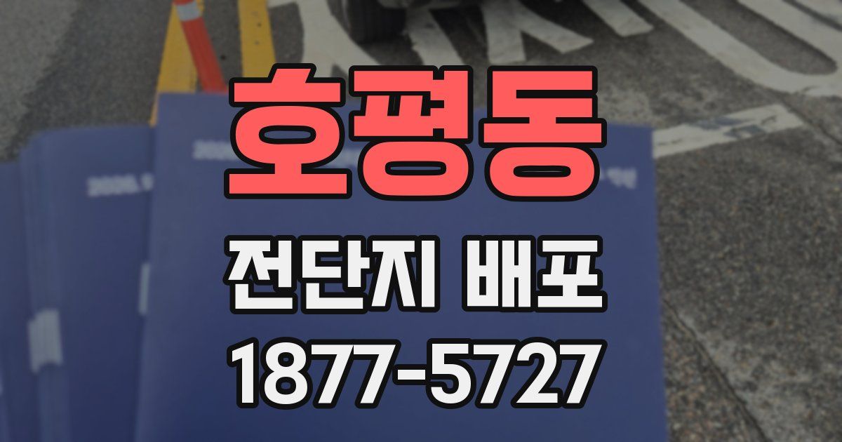 호평동 전단지 배포