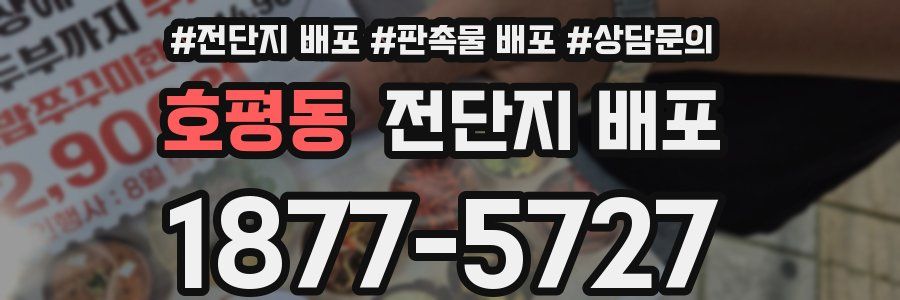 호평동 전단지 배포
