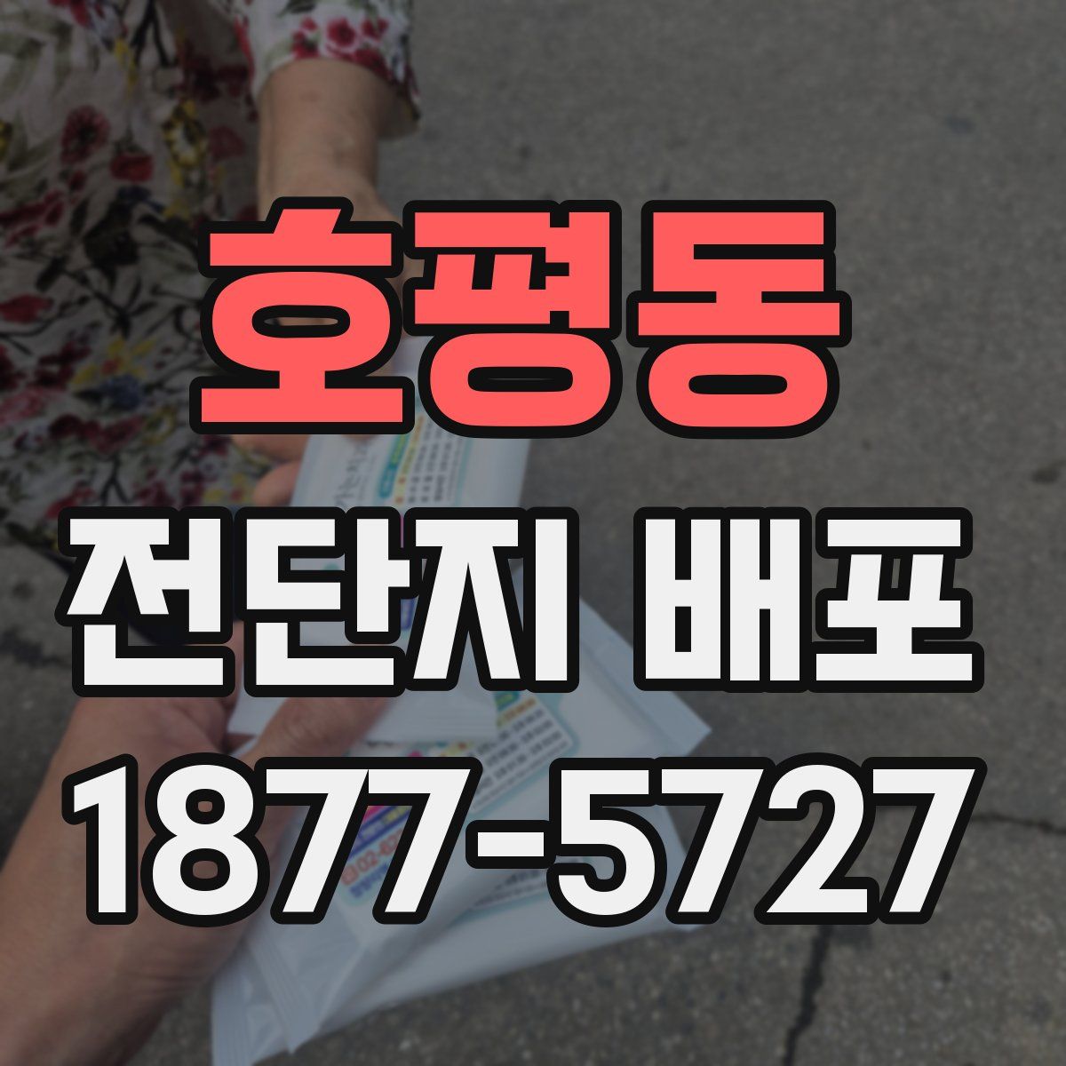 호평동 전단지 배포