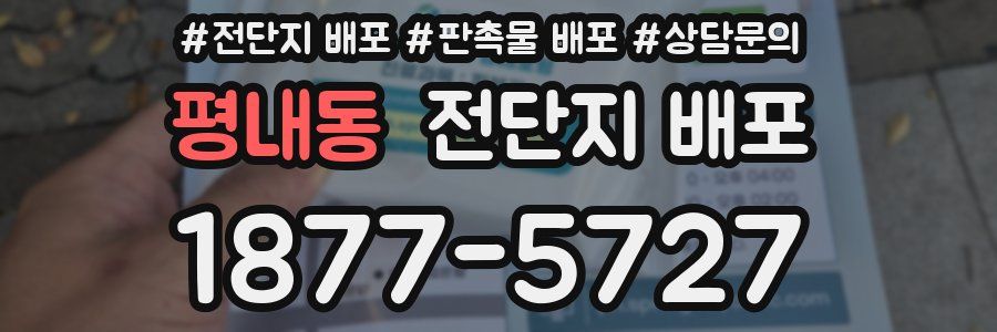 평내동 전단지 배포