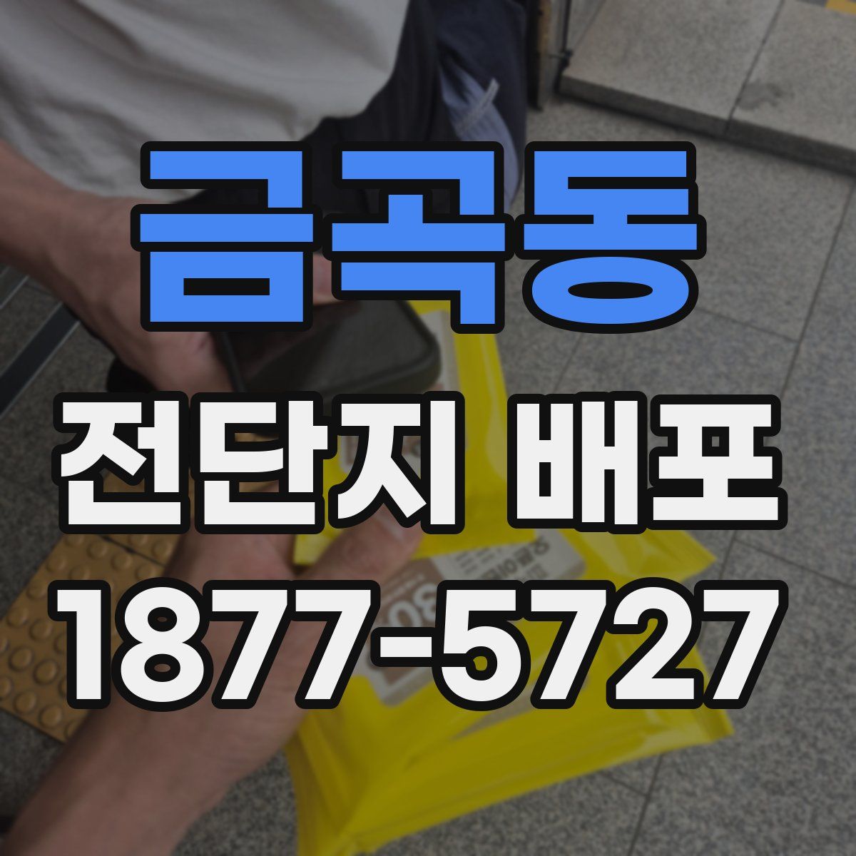 금곡동 전단지 배포